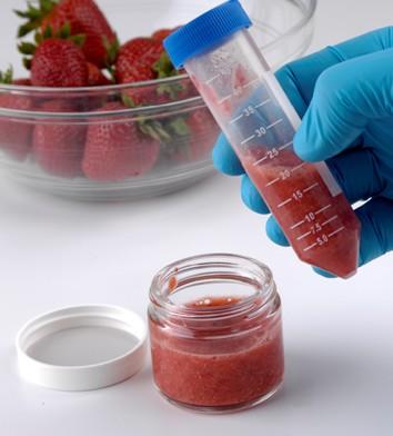 Anavo®QuEChERS固相分散萃取