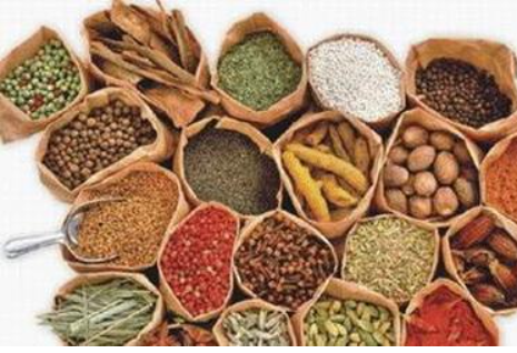 Anavo® TCMP 小柱（中药农残检测专用）