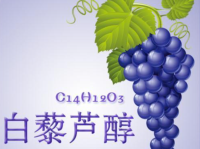 Anavo® PWR 小柱（葡萄酒中白藜芦醇检测专用）