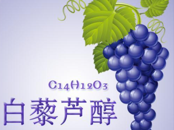 Anavo® PWR 小柱（葡萄酒中白藜芦醇检测专用）